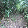 P1182386.jpg