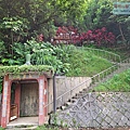 P1182516.jpg
