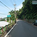P1182515.jpg