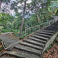 P1182518.jpg