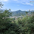 P1182521.jpg