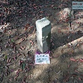 P1182523 (2).jpg
