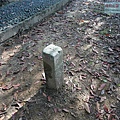 P1182523 (3).jpg