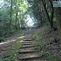 P1182534.jpg