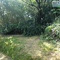 P1182535.jpg
