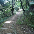 P1182539.jpg