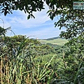 P1182541.jpg