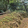 P1182540.jpg