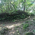 P1182543.jpg