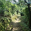 P1182542.jpg
