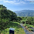 P1182544.jpg