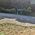 P1182546.jpg