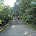 P1182548.jpg
