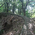 P1182551.jpg