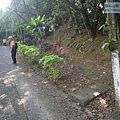 P1182550.jpg