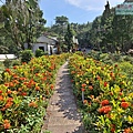 P1182552.jpg