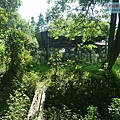 P1182556.jpg