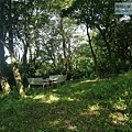 P1182555.jpg