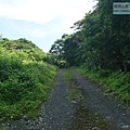 P1182557.jpg