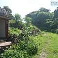 P1182561.jpg