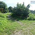 P1182562.jpg