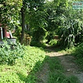 P1182563.jpg
