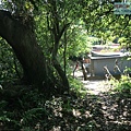 P1182567.jpg