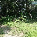 P1182564.jpg