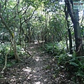 P1182568.jpg
