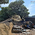 P1182578.jpg