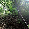 P1182573.jpg
