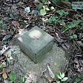 P1182575.jpg