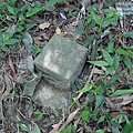 P1182574.jpg