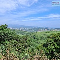 P1182581 (1).jpg