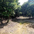 P1182582.jpg