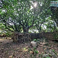 P1182587 (2).jpg