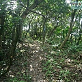 P1182584.jpg