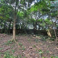P1182587 (1).jpg