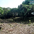 P1182585.jpg