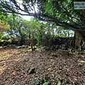 P1182587 (3).jpg