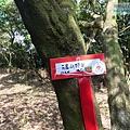P1182590.jpg