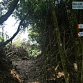 P1182591.jpg