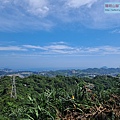 P1182595 (2).jpg