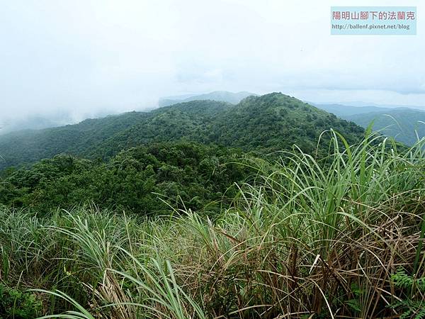 P1194575.jpg P1194575.jpg