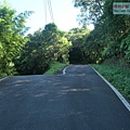 P1194817.jpg