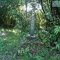 P1194815.jpg