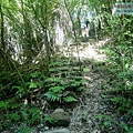 P1194837.jpg