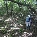 P1194843.jpg