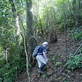 P1194846.jpg