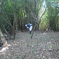 P1194848.jpg